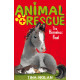 Animal Rescue : The Homeless Foal by ''Tina Nolan''
